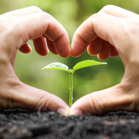 
This magnificent planet provides us not only life but an opportunity to love her back.
